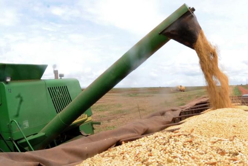 a produtividade será 3% maior na comparação com a safra 2017/2018