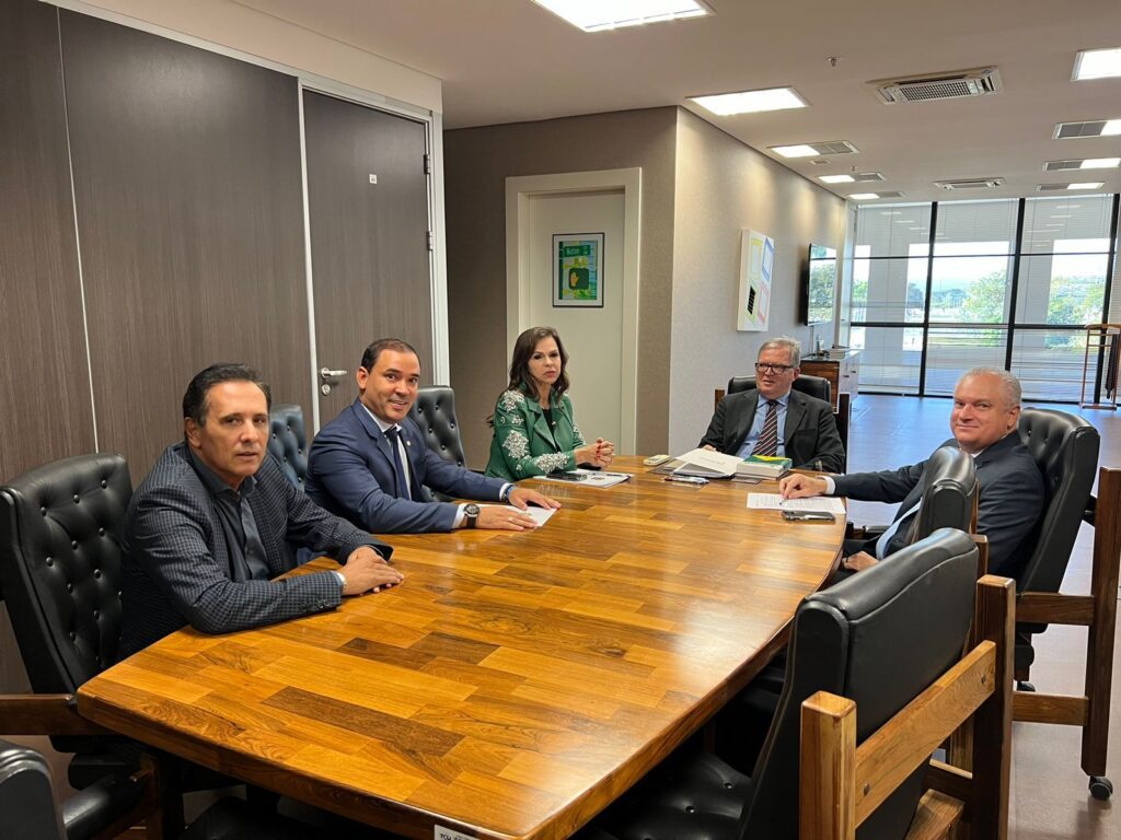 Deputados Carlos Gaguim e Vicentinho Júnior, e a senadora Dorinha Seabra em reunião com o ministro Walton Alencar, do TCU