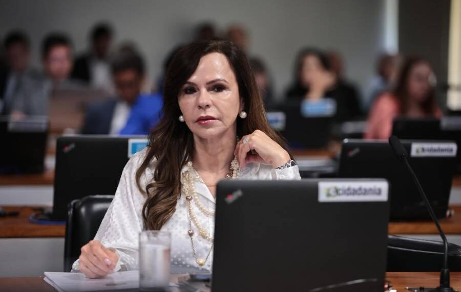 CAE aprova parecer da Professora Dorinha sobre mudança no Orçamento sobre critério do valor mínimo para ensino