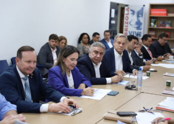 Em reunião do PDT Nacional, Laurez diz que conjuntura da sigla no TO “tem sido de muito crescimento”
