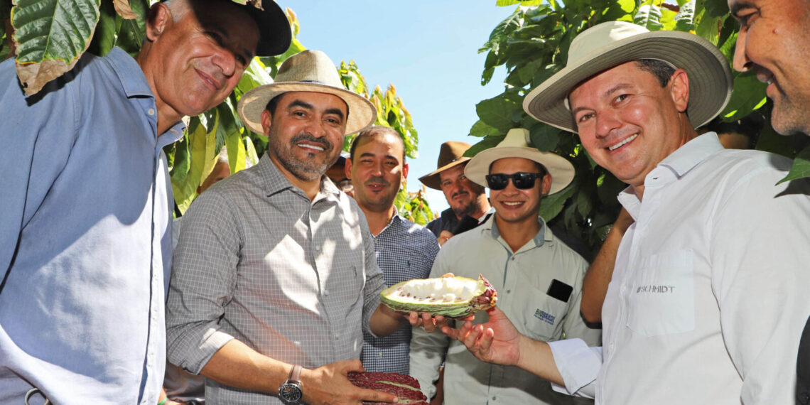 Na Bahia, governador Wanderlei avalia métodos de cultivo de cacau ao lado de produtores tocantinenses