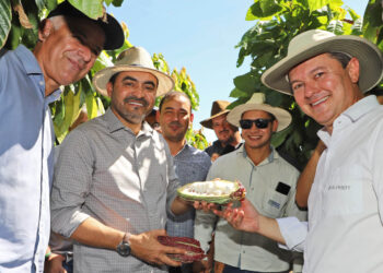 Na Bahia, governador Wanderlei avalia métodos de cultivo de cacau ao lado de produtores tocantinenses 