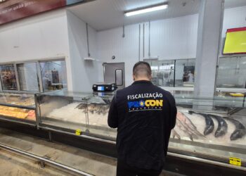 Procon identifica variações de até 83% no preço de pescados entre 11 estabelecimentos da Capital