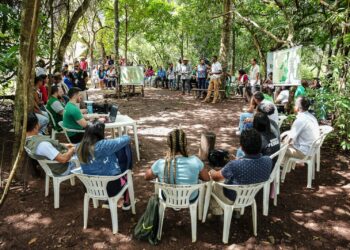Defensoria identifica problemas com titulação e impactos da cultura de soja e mineração em comunidades quilombolas