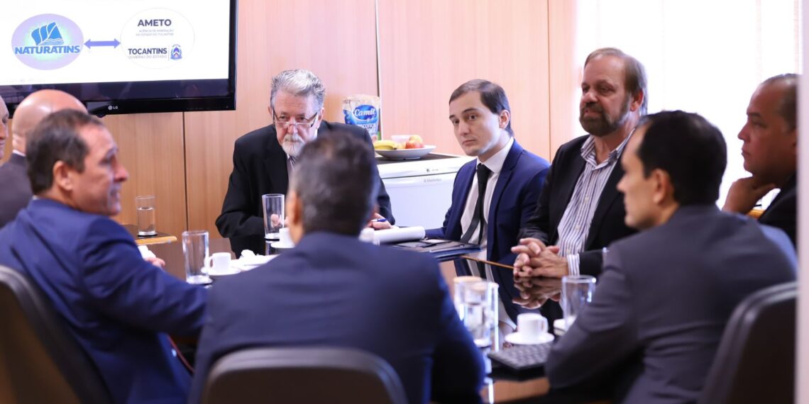 Ameto apresenta projetos e potencialidades do TO para mineração ao governo federal