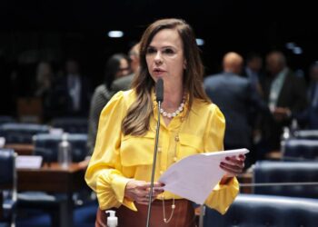 A pedido da Professora Dorinha, Senado realizará sessão temática sobre a prorrogação do Plano Nacional de Educação