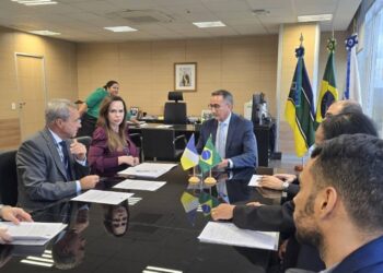 Em audiência com ministro, Professora Dorinha solicita apoio ao setor agropecuário do Tocantins