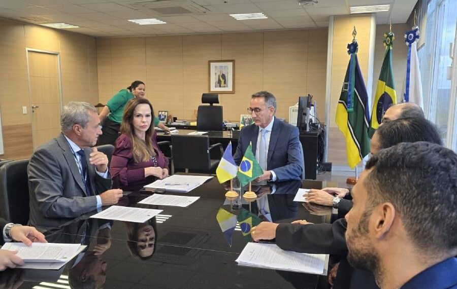 Em audiência com ministro, Professora Dorinha solicita apoio ao setor agropecuário do Tocantins