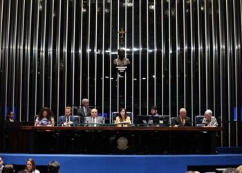 Na sessão de debate sobre o PNE, senadora Professora Dorinha pede união de forças suprapartidárias pela educação