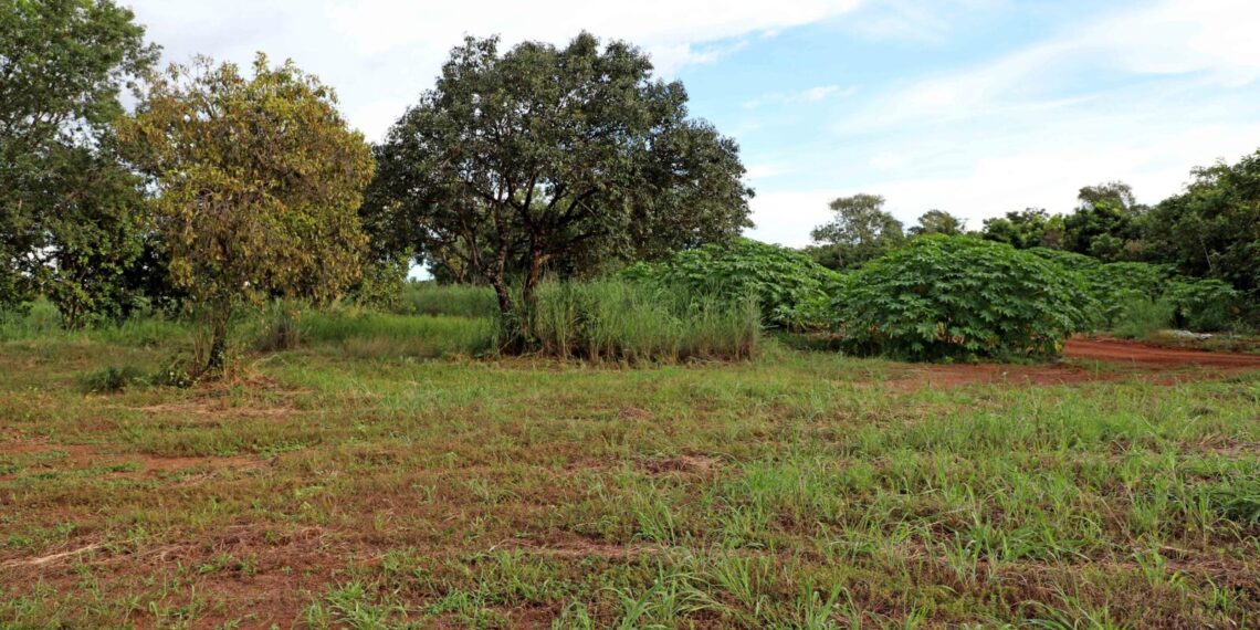 Estado entrega projeto de lei à Aleto que trata da doação de terreno para construção do Hospital de Palmas