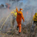 Tocantins publica edital para selecionar 80 brigadistas florestais em nove municípios