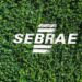 O Espaço Sebrae é o destino dos empreendedores do agronegócio
