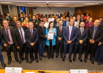 Professora Dorinha reúne bancada federal para ouvir demandas dos prefeitos tocantinenses