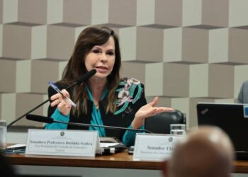 Requerido pela Professora Dorinha, Comissão debaterá cancelamento de convênios de obras do FNDE