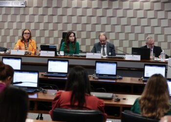 Senadora Professora Dorinha promove audiência pública para debater suspensão de obras de escolas e creches do FNDE