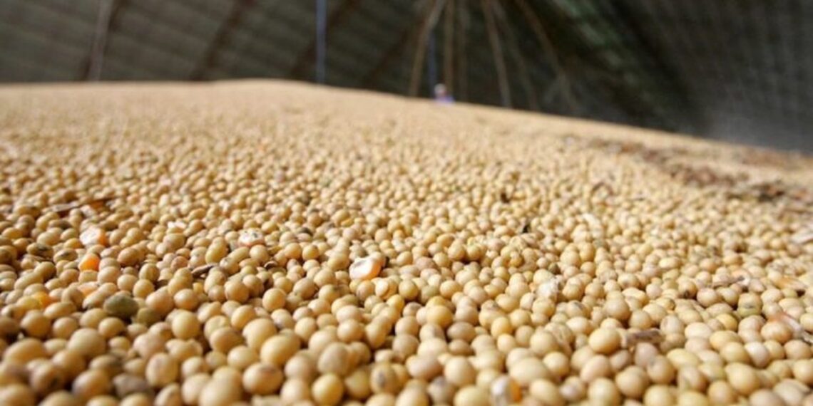 Porto Nacional fecha 1º quadrimestre com R$ 975 milhões em exportações, crescimento de 8% sobre 2023