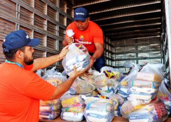 Agrotins arrecada mais de 130 toneladas de alimentos que serão encaminhados a instituições tocantinenses