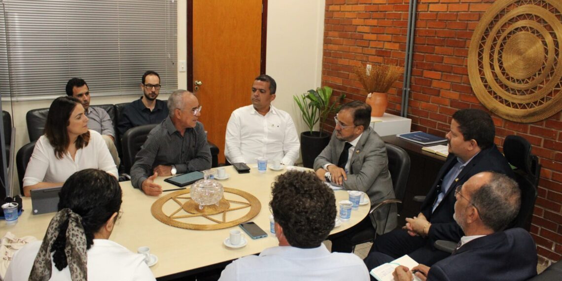 Governo e Serviço Geológico do Brasil debatem parcerias para desenvolver setor de mineração no Tocantins