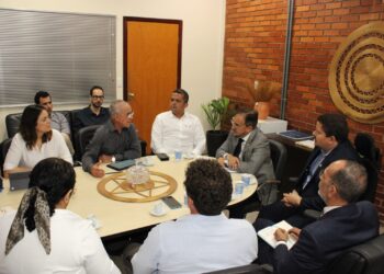 Governo e Serviço Geológico do Brasil debatem parcerias para desenvolver setor de mineração no Tocantins