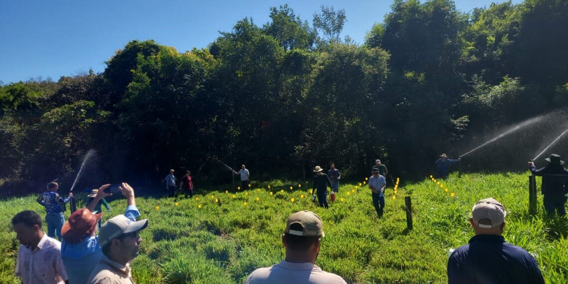 Assistentes de produtores de Taquaruçu recebem curso de manejo da irrigação e tratamento de dados