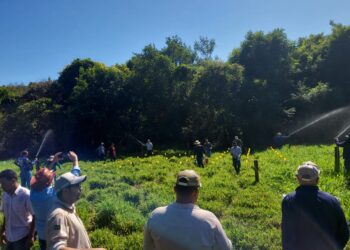 Assistentes de produtores de Taquaruçu recebem curso de manejo da irrigação e tratamento de dados