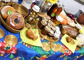 Governo do Tocantins realiza a 2ª edição da Agrifest Junina 2024, com exposição de produtos naturais do Cerrado tocantinens