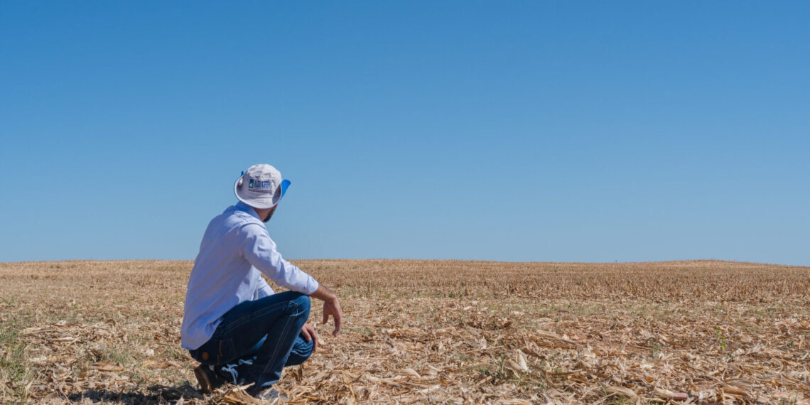 Adapec anuncia período do vazio sanitário da soja a partir desta segunda-feira para controle da ferrugem asiática