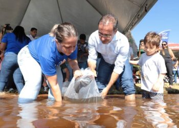 Lago Azul de Araguaína já recebeu mais de 130 mil novos peixes nos últimos três ano