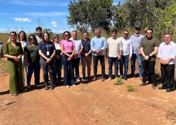 Estado apresenta projeto Lixão Zero para Consórcio do Vale do Rio Manuel Alves; área que receberá aterro é visitada 