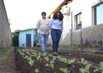 Projeto Hortas Comunitárias transforma alimentação na Creche Maria Madalena
