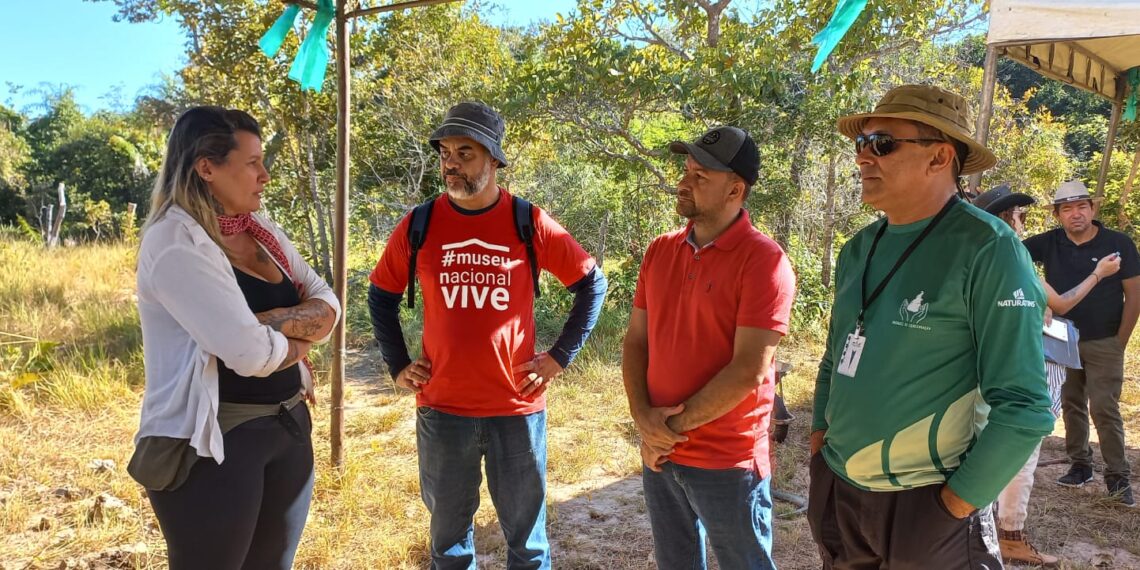 Universidades do TO e RJ iniciam mapeamento dos afloramentos vulneráveis às atividades humanas no Monumento Natural das Árvores Fossilizadas