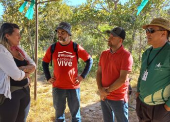 Universidades do TO e RJ iniciam mapeamento dos afloramentos vulneráveis às atividades humanas no Monumento Natural das Árvores Fossilizadas