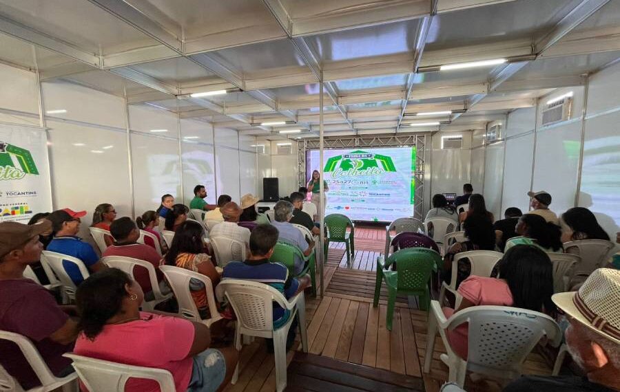 Governo do Tocantins apresenta tecnologia de produção de abelhas na Feira da Colheita em Sampaio