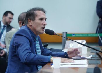 Deputado Carlos Gaguim Questiona Ministra sobre Ações para Combate às Queimadas no Tocantins