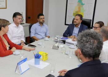 Inovações nas cadeias produtivas para conservação da Amazônia Legal são tema de reunião entre Casa Civil e Mapa