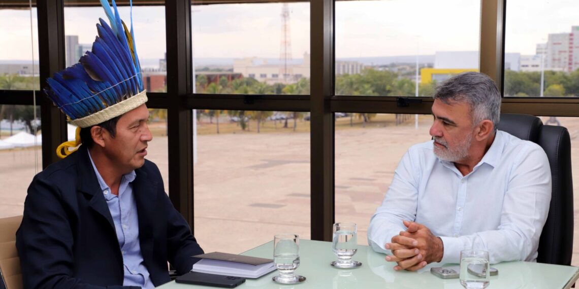 Governador em exercício, Amélio Cayres debate com interino da Sepot construção de trecho da TO-010 em território indígena