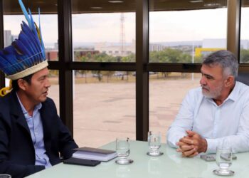 Governador em exercício, Amélio Cayres debate com interino da Sepot construção de trecho da TO-010 em território indígena