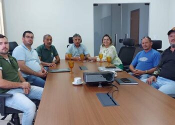 Fátima Coelho recebe empresários do Rio Grande do Sul que estudam investimentos na produção de pescados em Guaraí