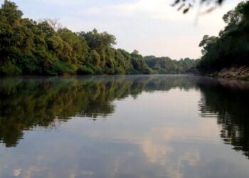 Parque Estadual Cantão completa 26 anos neste domingo e terá programação de aniversário