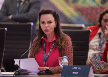 De autoria da Professora Dorinha, regime especial para estudantes impossibilitados de ir à escola vai à sanção presidencial