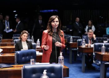 Senadora Professora Dorinha participa da 1º Reunião de Mulheres Parlamentares do P20