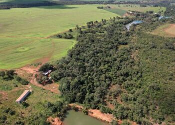 Aliança Verde: ZEN e Porto Nacional pela Preservação Ambiental