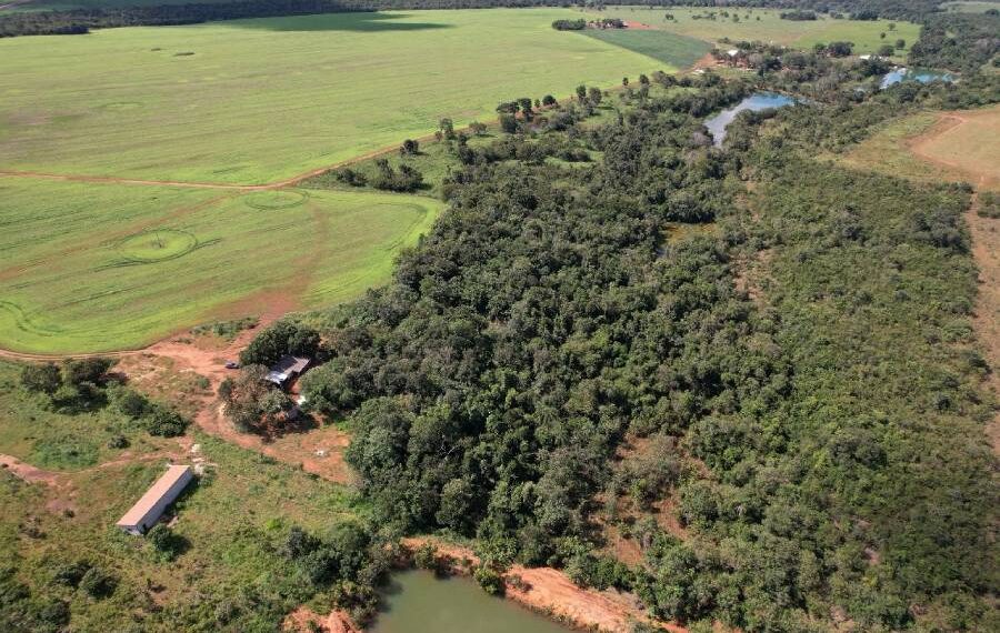 Aliança Verde: ZEN e Porto Nacional pela Preservação Ambiental