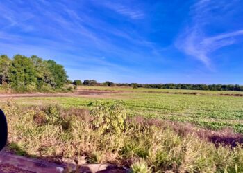 Governo federal irá criar Polo de Irrigação do Sudoeste do Tocantins com 7 municípios e impacto para 60 mil pessoas