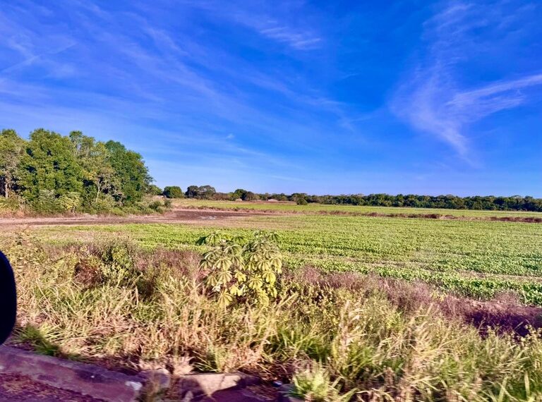 Governo federal irá criar Polo de Irrigação do Sudoeste do Tocantins com 7 municípios e impacto para 60 mil pessoas