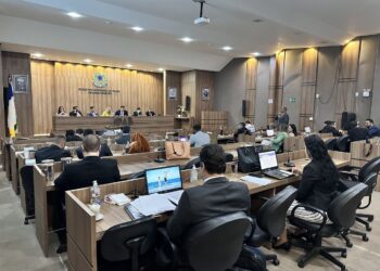 OAB-TO aprova ato de desagravo público e representações contra dois delegados