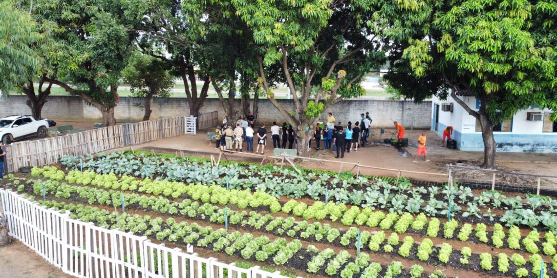 Após nota de Josi contra suposta agressão a pré-candidato, associação diz que projeto de hortas é alvo de investidas promovidas pelo grupo da prefeita