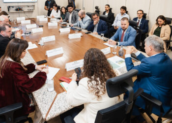 Itertins discute com governo federal acordo de cooperação técnica para regularização de terras; Probico comemora