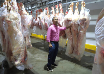 Araguaína fecha 1º semestre com recorde histórico de R$ 347 milhões em exportações; “Quando o poder público faz sua parte, a iniciativa privada cresce”, diz Wagner