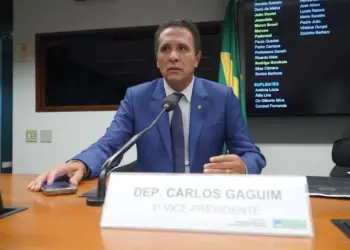 Deputado Carlos Gaguim Defende Direitos das Pessoas com Deficiência e Idosos Contra Mudanças no Benefício de Prestação Continuada